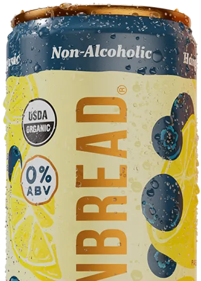 Blueberry Lemonade Non-Alcoholic Spritz