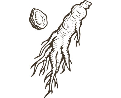 Ginseng